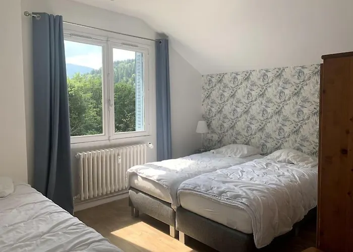 Apartment Le Nid Des Fees T3 Renove Acces Jardin La Bourboule